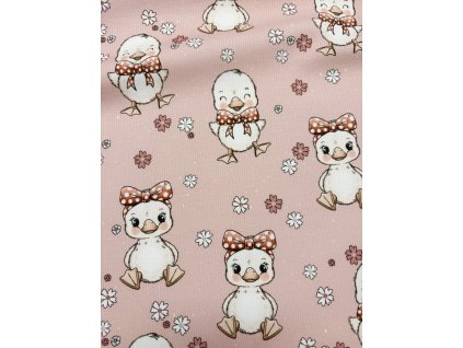 Žebrovaný úplet - Roztomilá housátka