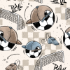 KG FussballScratch 20