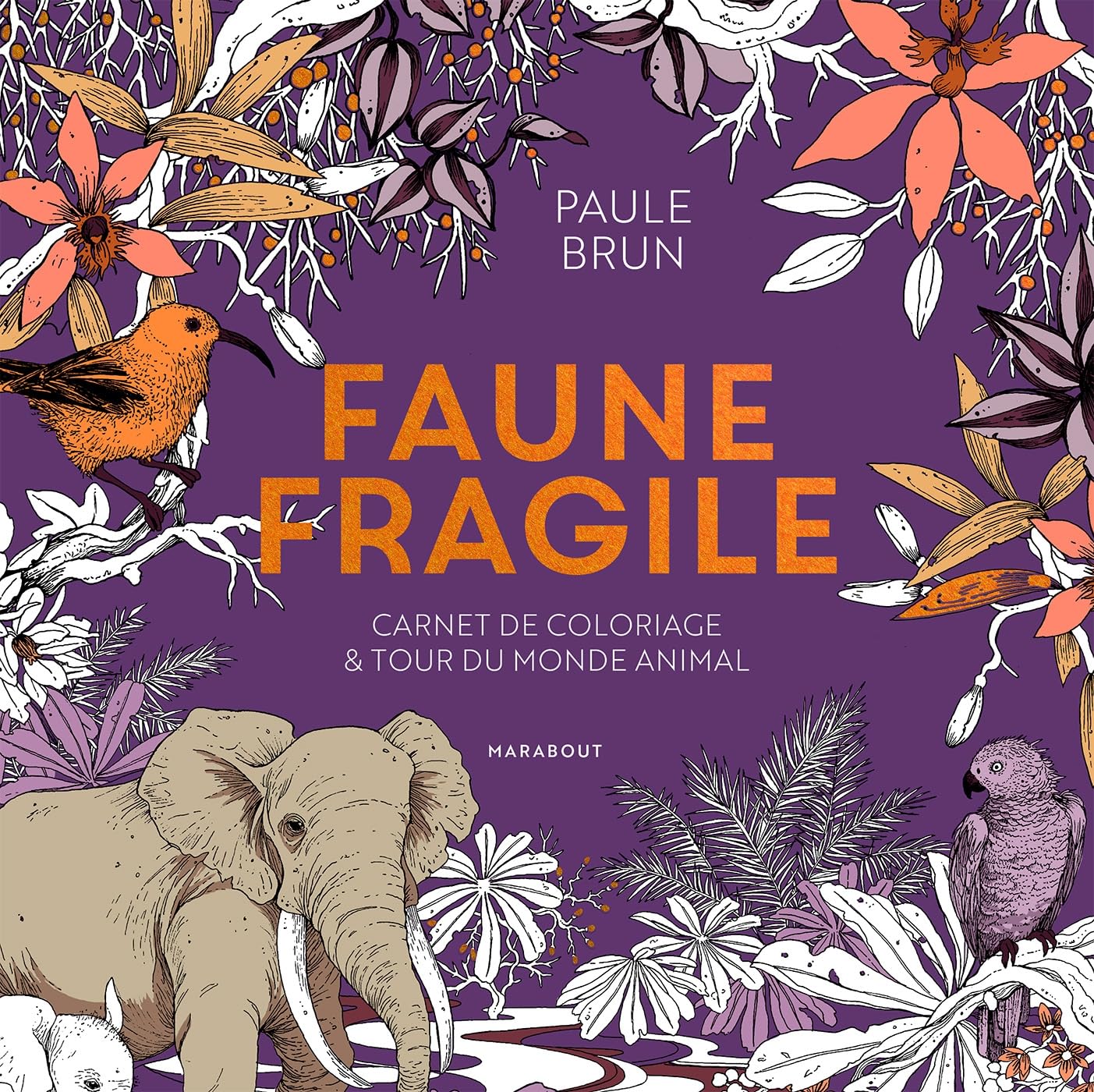 Levně Faune Fragile, antistresové omalovánky, Paule Brun