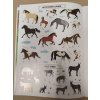 Jiri Models, Samolepková příroda, sešit se samolepkami, Koně
