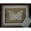 motýl krajkový 1...