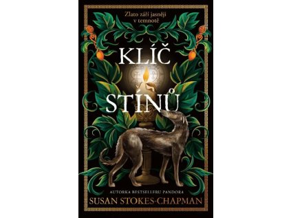 100554874 klic stinu