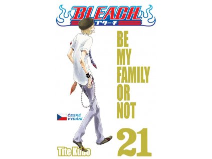 28497 bleach 21 be my family or not