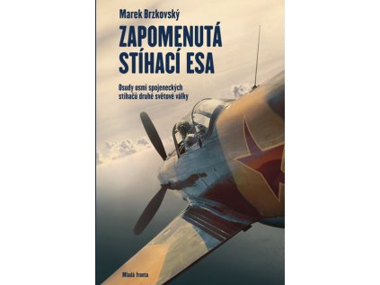 38796 zapomenuta stihaci esa