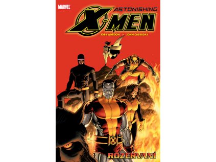 39495 astonishing x men 3 rozervani