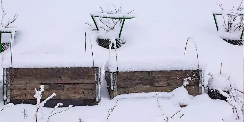 Prosinec na zahradě - jak chránit rostliny v zimě?