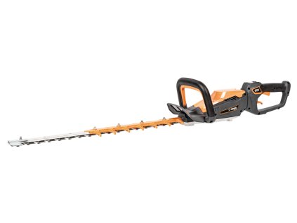 CEDHT640 P 01
