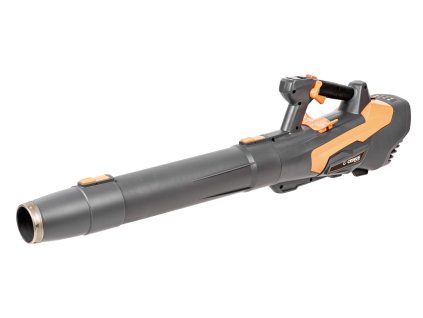 CEDBL210 P 01