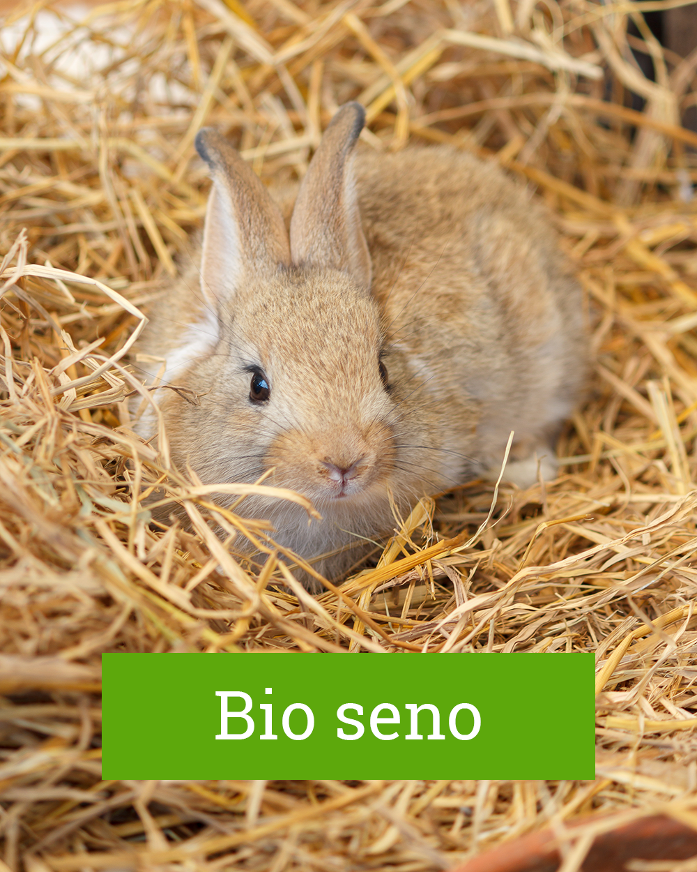 Bio seno ( 1050x1250 px )