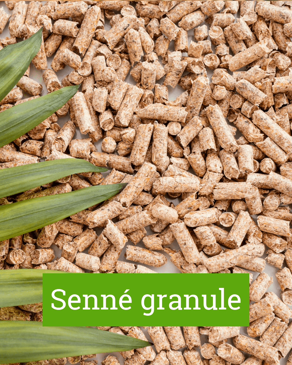 Senné granule ( 1050x1250 px )
