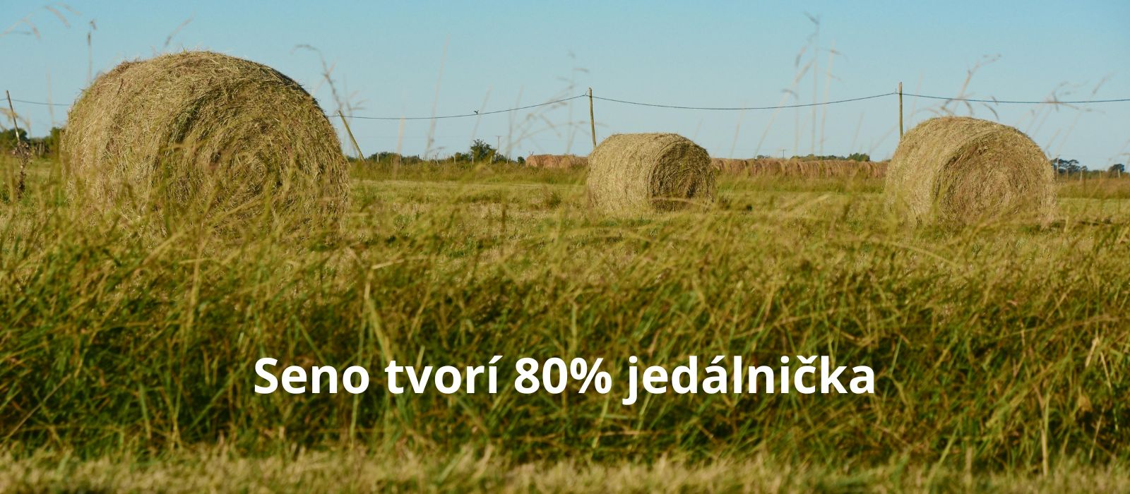 kvalitné seno pre králiky z rodinnej farmy
