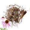echinacea – sušený celý koreň 50g pre králiky a hlodavce, podpora imunity, Kralikovo