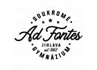 Soukromé gymnázium AD FONTES - o.p.s.