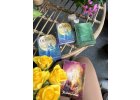 Tarot dobra