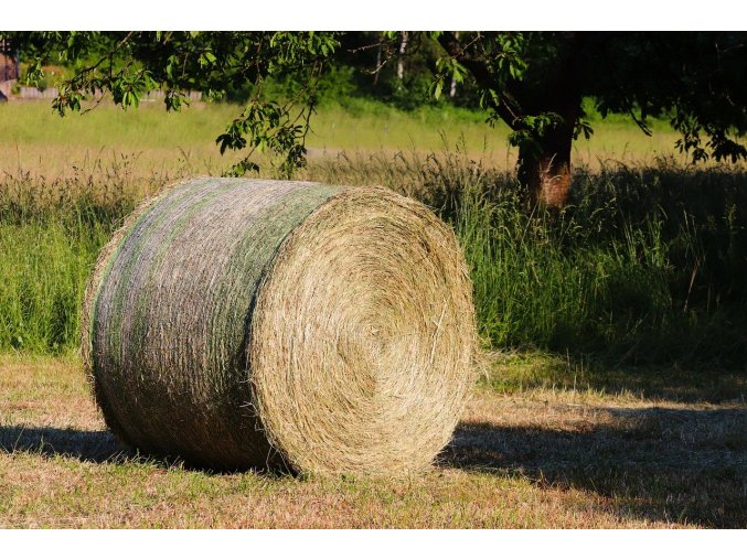 hay bale 8121124 1280