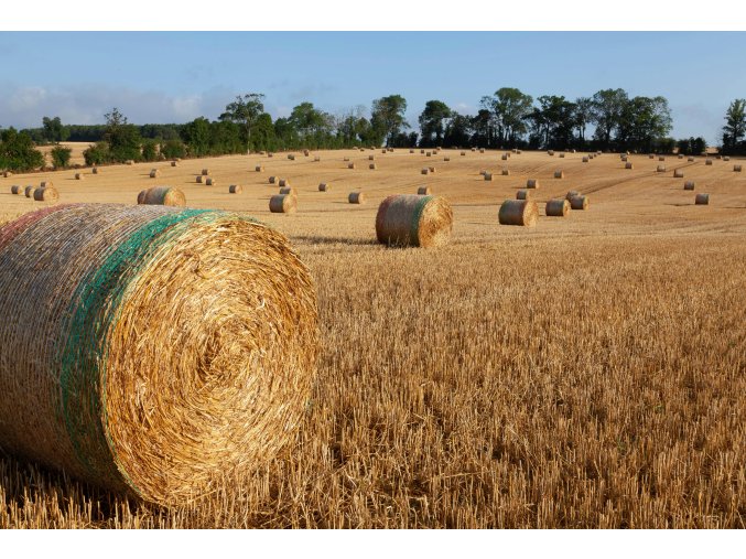 pexels philippe serrand 337910945 18772108