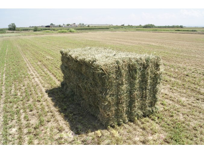 Arcusin Bale Bundler MultiPack E14 4 scaled