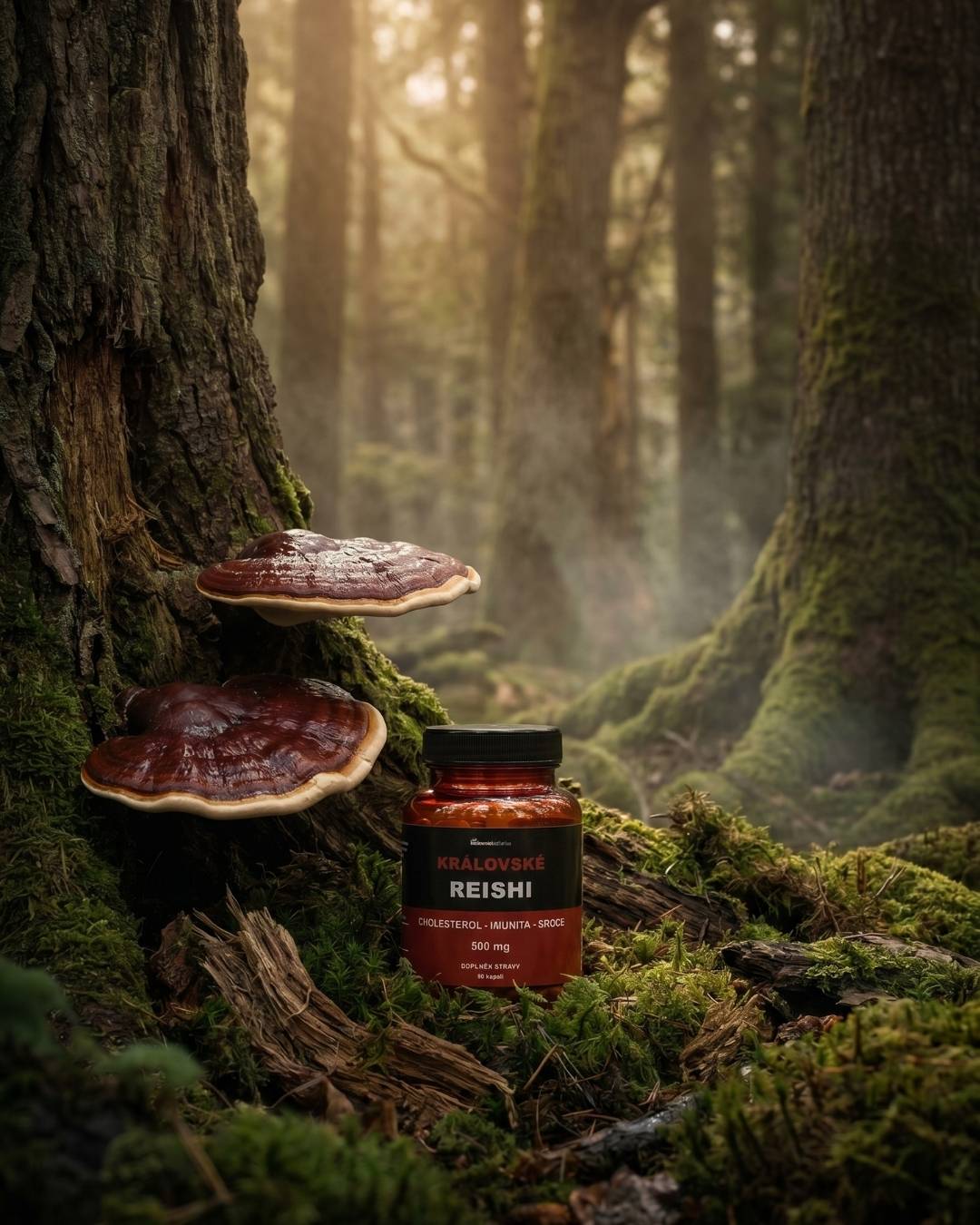 Čo je reishi a prečo sa jej hovorí huba nesmrteľnosti?