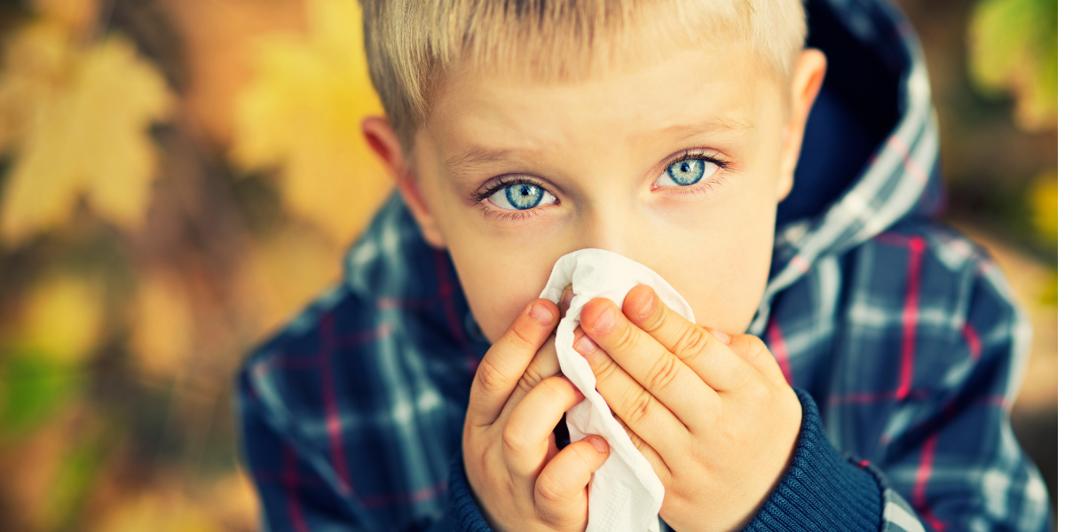 Nachladnutie na jeseň: Čo prírodnou cestou naozaj funguje