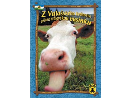 Pohlednice jako kráva, pohlednice formátu A4