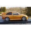 FORD Escort RS WRC Custom 1998 Bronze