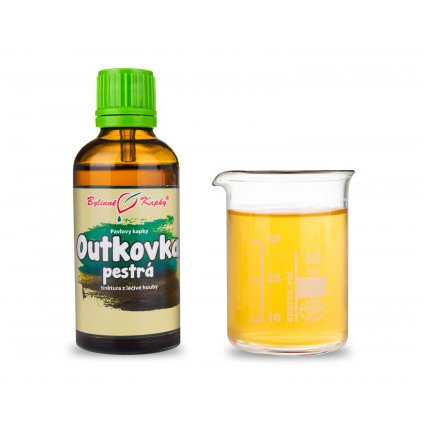 Outkovka pestrá (Coriolus) - bylinné kapky (tinktura) 50 ml