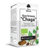 Březová houba "Chaga" ECO 60 kapslí Doplněk stravy