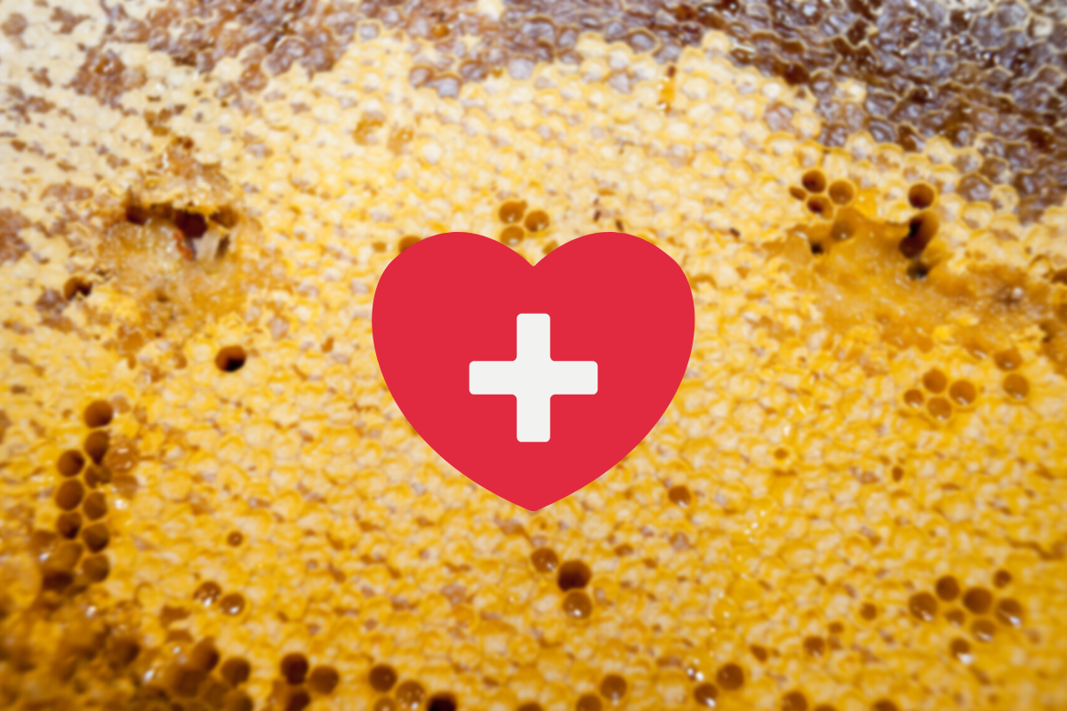 Mořské řasy, jejich účinky a proč je jíst