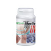 3861 dr lab blueberry pro live 80 kapsli