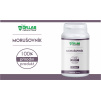 4233 1 dr lab morusovnik 100 60 kapsli