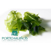 Mořské řasy Porto Muiños Sea Lettuce Mořský salát čerstvý