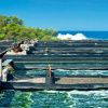 Spirulina Nutrex Hawaii farma 2