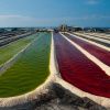 Astaxanthin Nutrex Hawaii farma