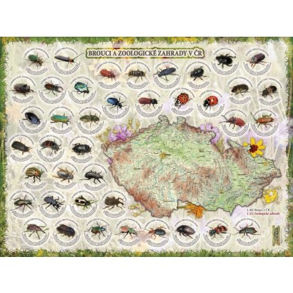 Brouci a zoologické zahrady v ČR - nástěnná mapa 160 x 120 cm (Provedení Volta ořech, Varianta dřevěný rám)