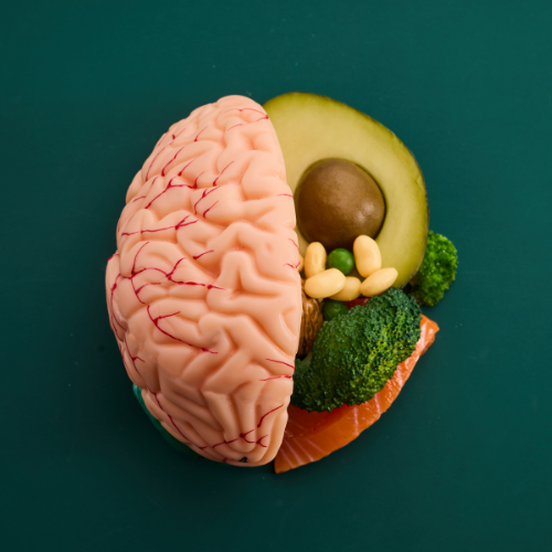 Co jíst pro lepší soustředění? Výživa pro mozek jednoduše