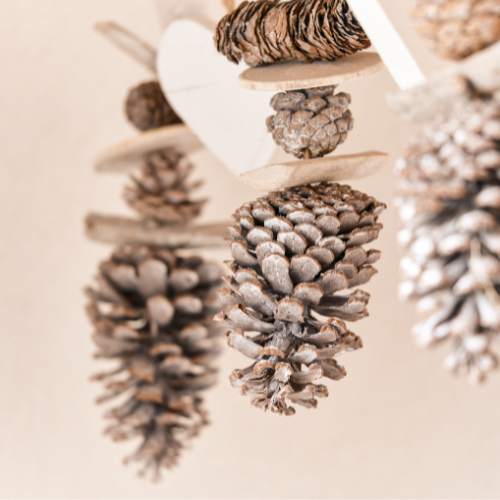 Advent bez nachlazení: Jak posílit imunitu v předvánočním shonu