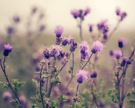 Cítíte se unaveně, zpomaleně nebo nafoukle? Možná tělo jen tiše naznačuje, že potřebuje restart.