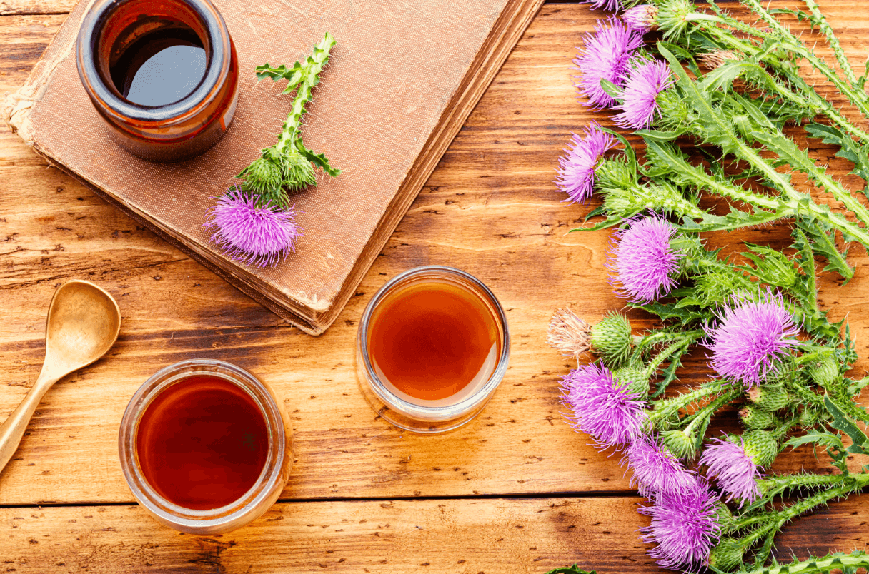 Ostropestřec v létě: Detoxikace, energie a péče o játra