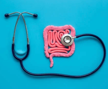 Jak pečovat o střevní mikroflóru a proč je to tak důležité?