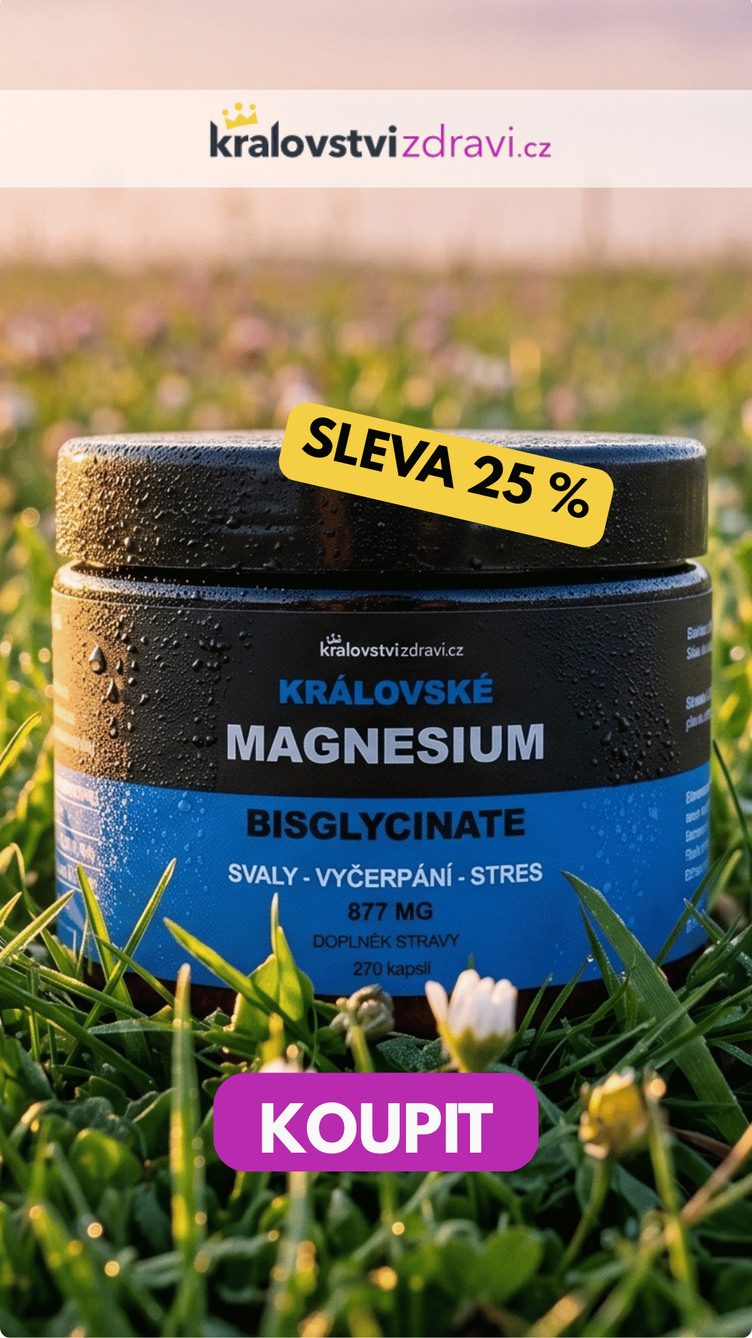 Královské Magnesium Bisglycinate 877 mg