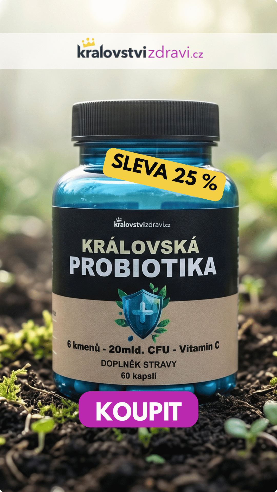 Královská Probiotika komplex laktobacilů a bifidobakterií