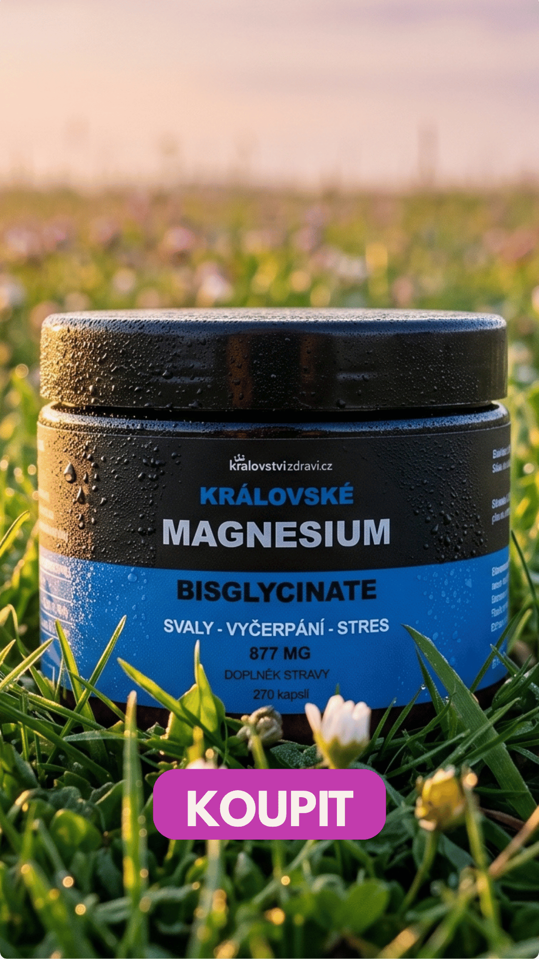 Královské Magnesium Bisglycinate 877 mg