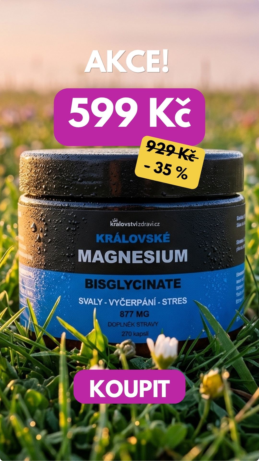 Královské Magnesium Bisglycinate 877 mg