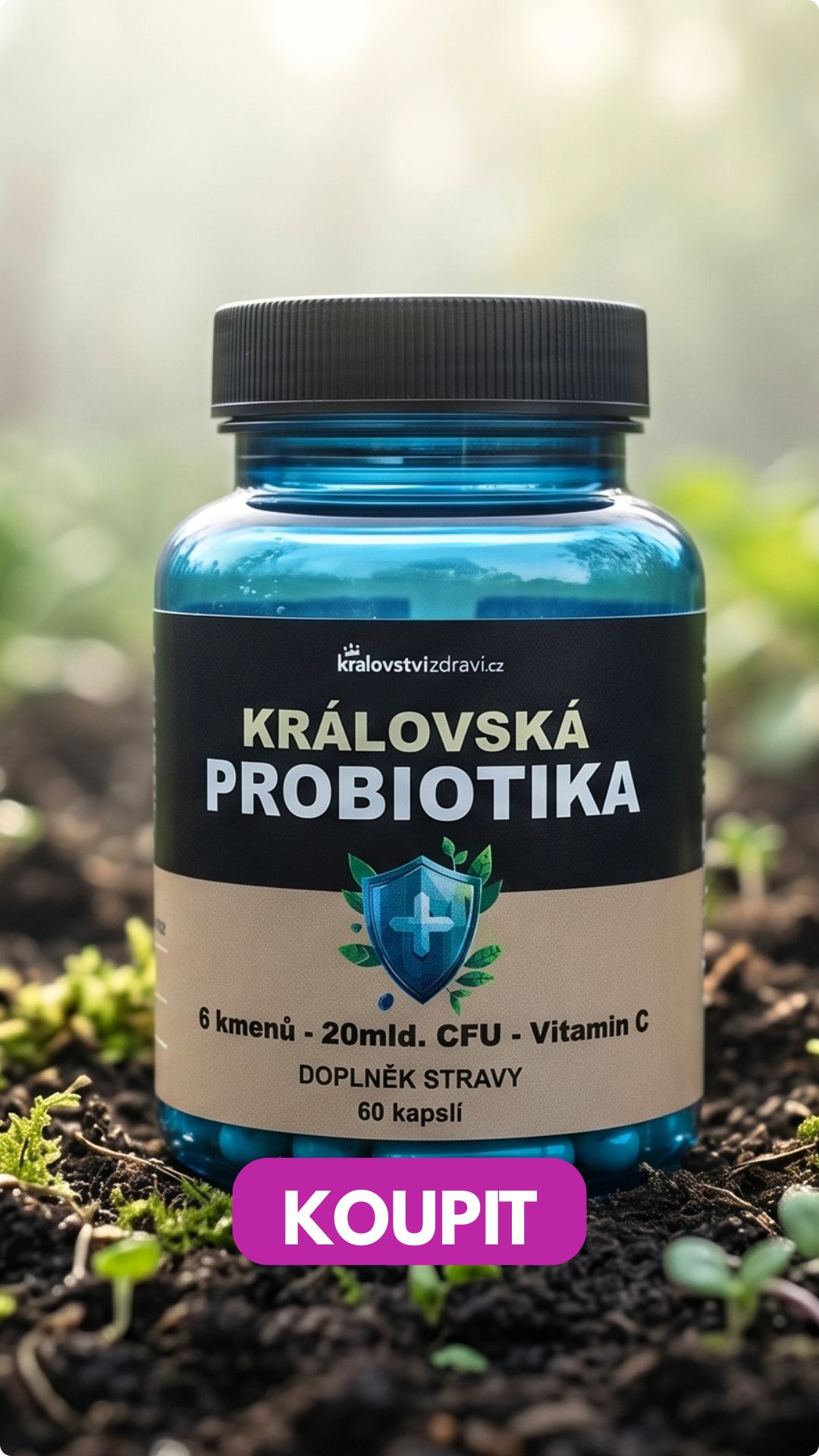 Královská Probiotika komplex laktobacilů a bifidobakterií