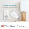 Inteligentná zásuvka Smart Plug 16A Smart plug , wifi, smart with power monitor, wifi wireless smart socket with Google Alexa home voice control inteligentná zástrčka, 16A EÚ, wifi, inteligentná s monitorom napájania, wifi bezdrôtová inteligentná zásuvka s domácim hlasovým ovládaním Google Alexa