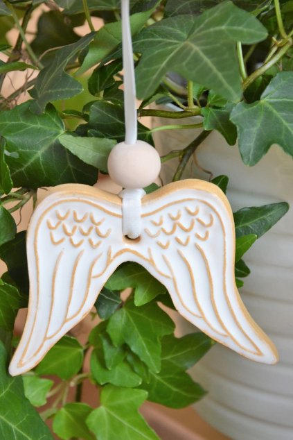 Andělská křídla/5005 (Vzor Se vzorem)