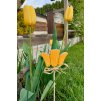 Zápich tulipán