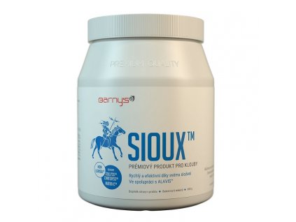Barny´s SIOUX MSM 600 g
