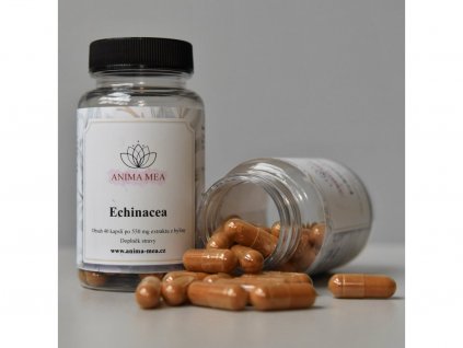 126 echinacea 40