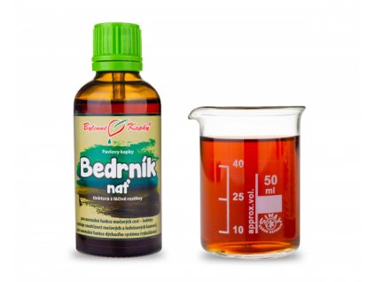 bedrnik nat bylinne kapky tinktura 50 ml